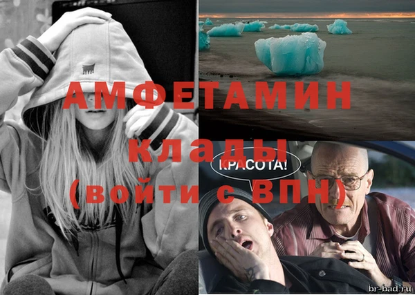 индика Бородино