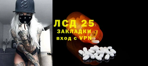 трава Ельня