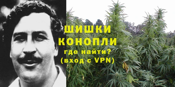 прущая мука Елабуга