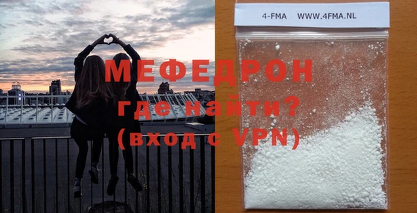 индика Бородино