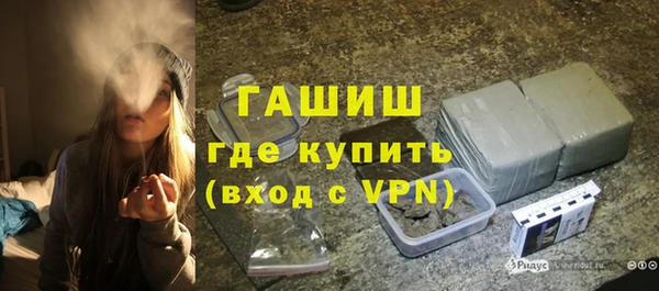 индика Бородино