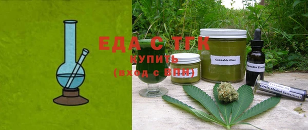 индика Бородино