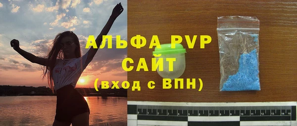 индика Бородино
